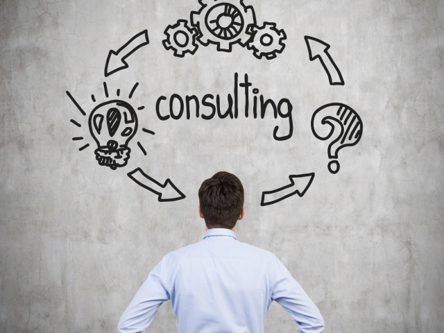 SAP Consultation - Local Worlds Inc.