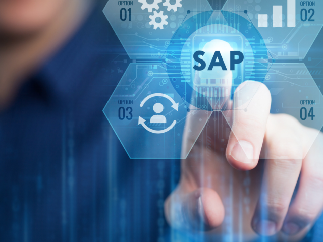 SAP Consultant - Local World Inc.